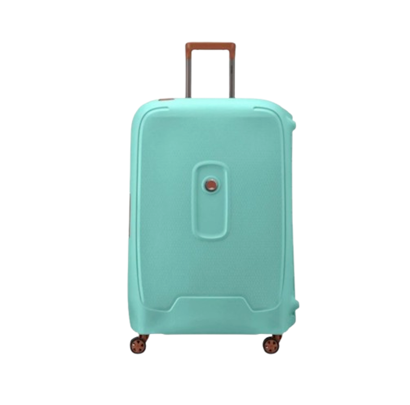 Delsey Moncey 30 Inci 1