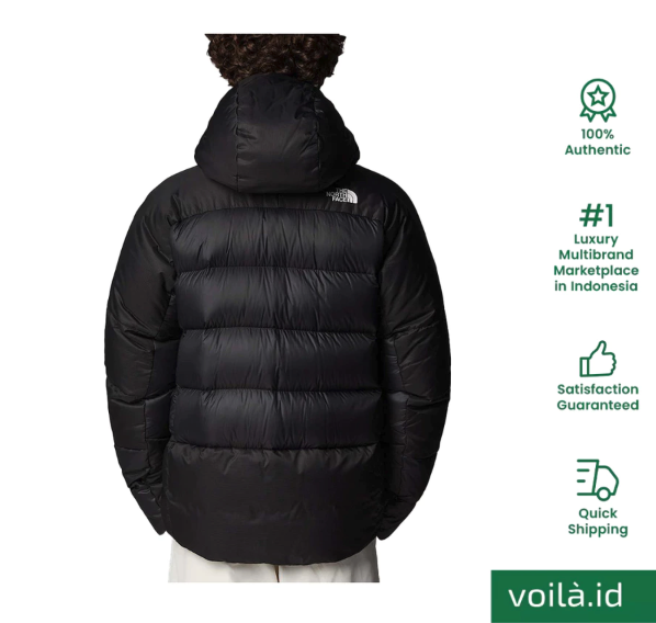 VF Corporation The North Face NSE Down Puffer Jacket