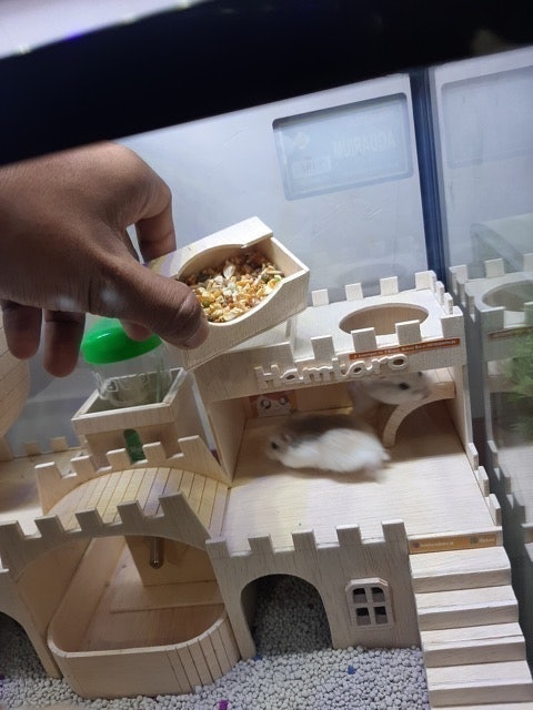  Terarium Kandang Hamster Mainan Kayu