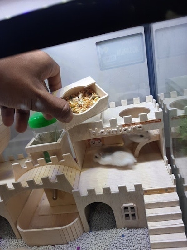 Terarium Kandang Hamster Mainan Kayu 3
