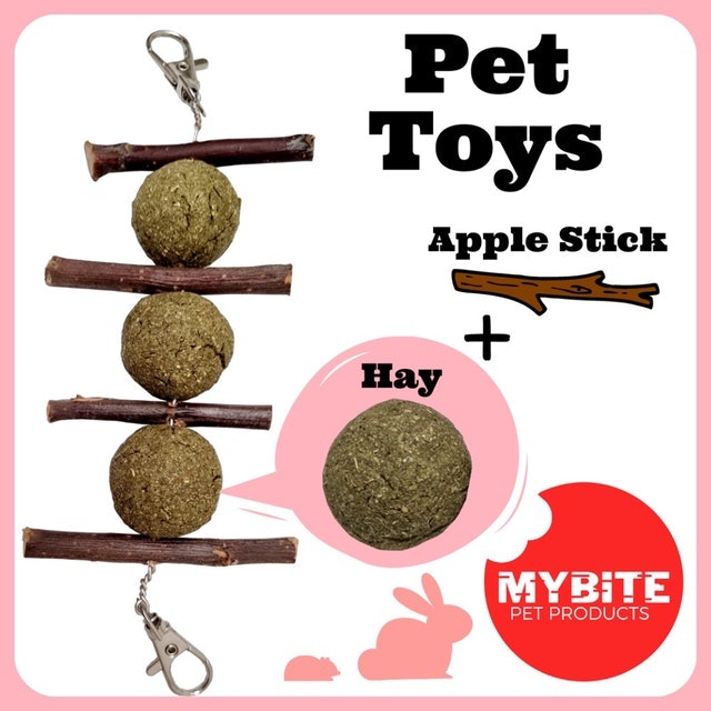 Mybite Banana Hay Ball & Apple Stick