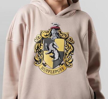 Thesilversky Thesilversky Harry Potter Hogwarts Houses Boxy Hoodie