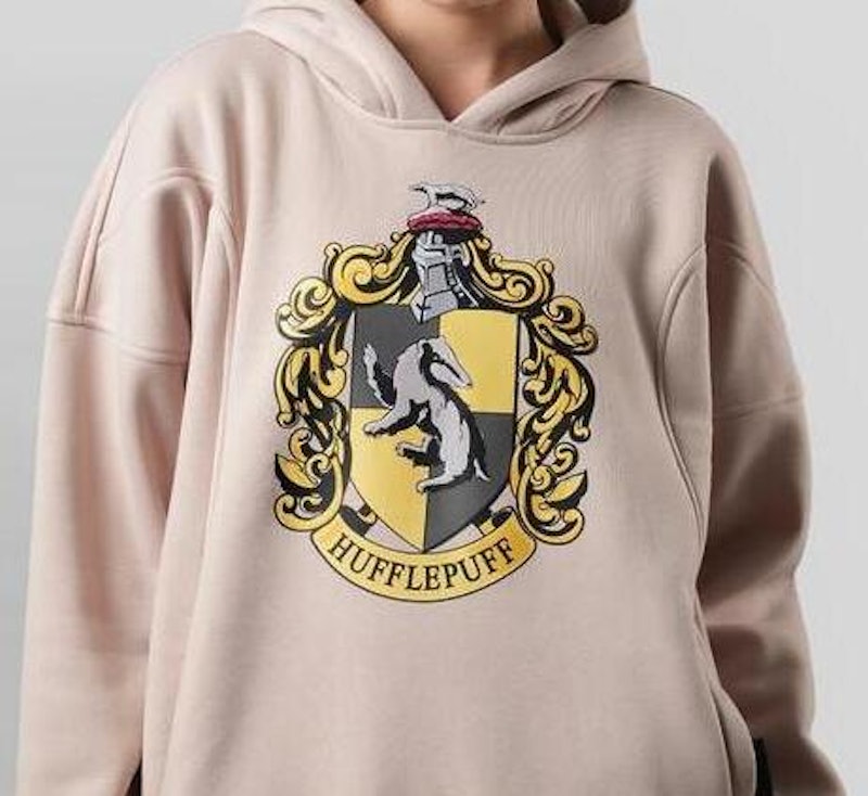 Thesilversky Harry Potter Hogwarts Houses Boxy Hoodie 3