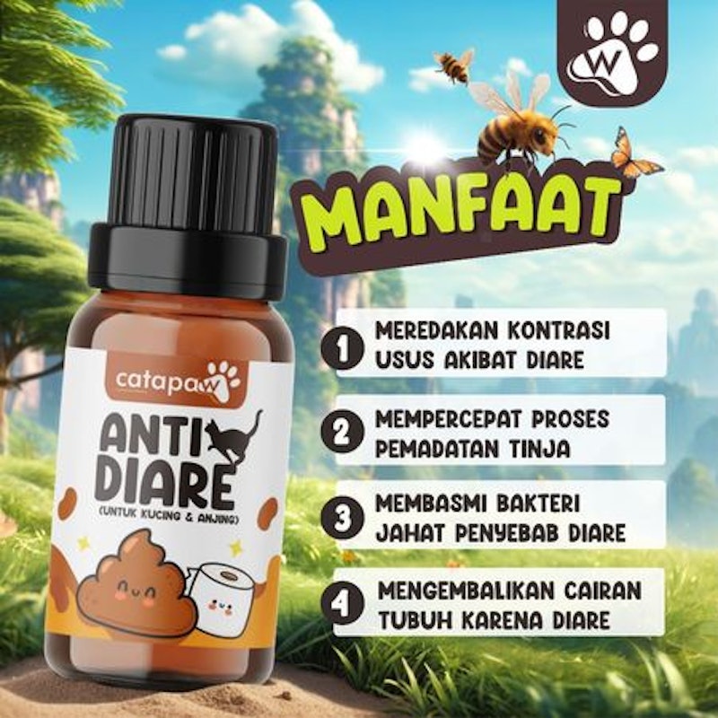 Catapaw Anti Diare 3