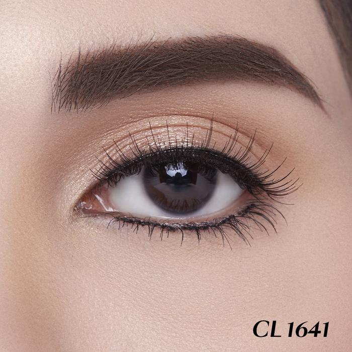 Artisan Professionnel Artisan Professionnel Classiques x Donny Liem 1641