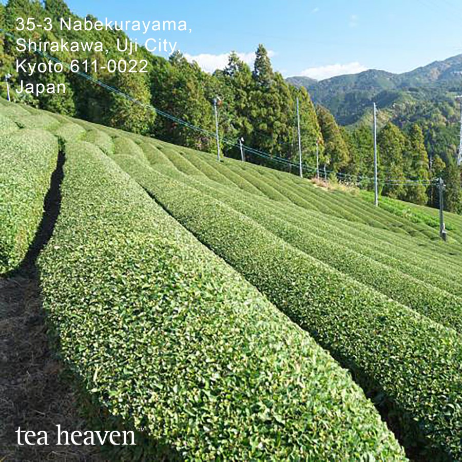 Tea Heaven Indonesia Tea Heaven Pure Japanese Matcha Powder Bakers