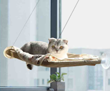 10 Rekomendasi Tempat Tidur Kucing Terbaik 5
