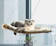 Hammock Cat Window Bed 1