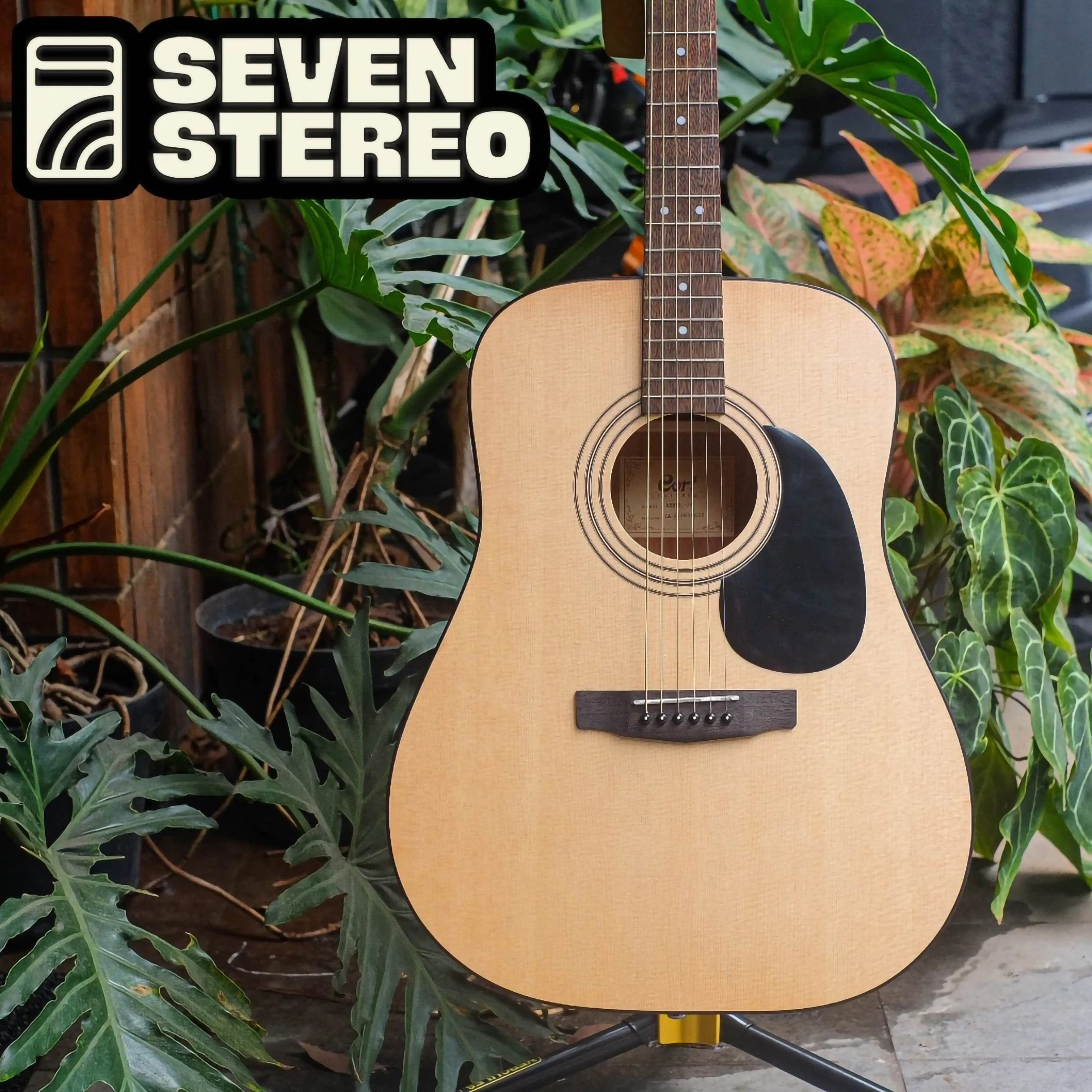 Cort Gitar Acoustic AD-810-OP