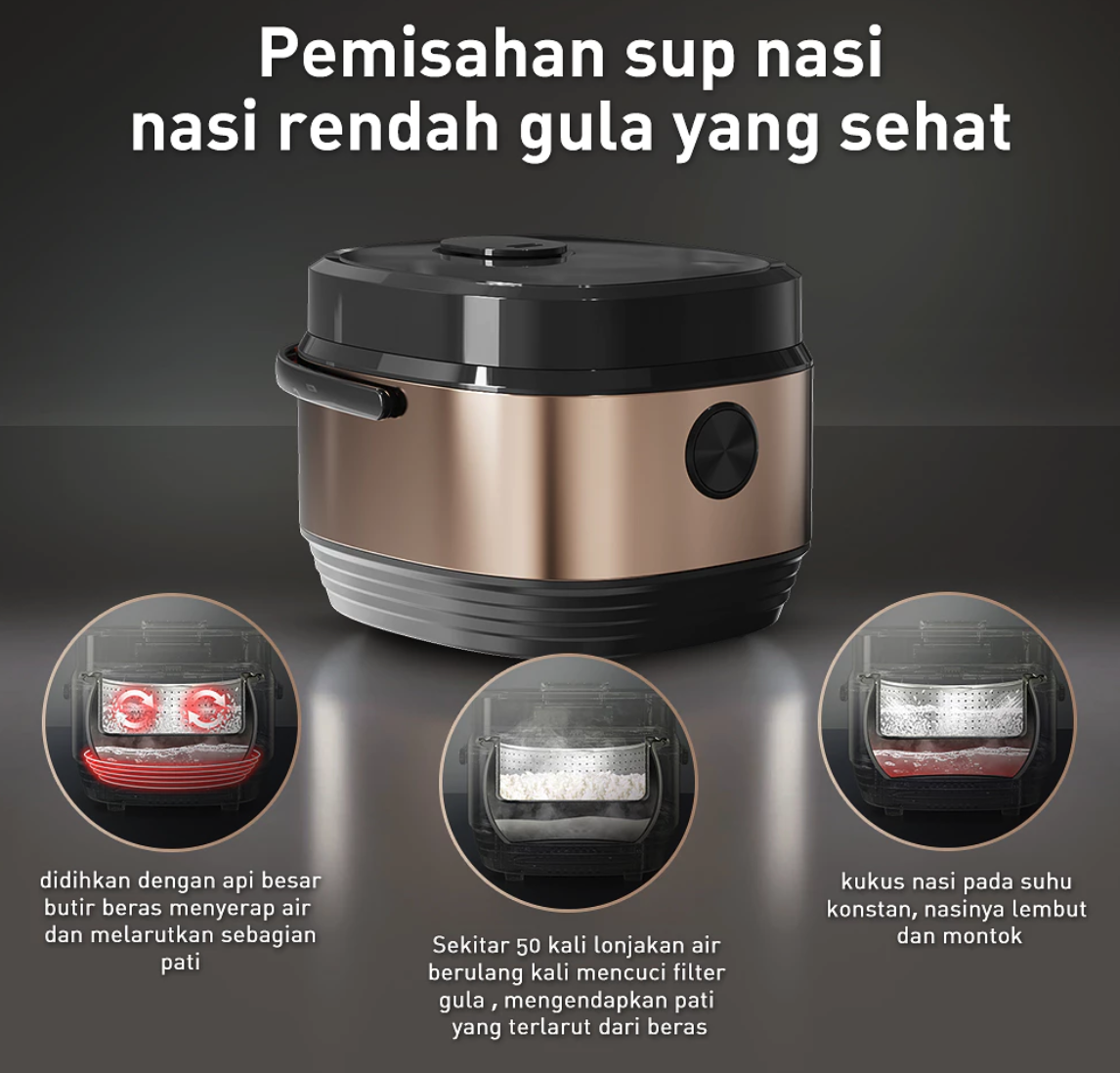  Saluyar Low Sugar Rice Cooker 5 Liter
