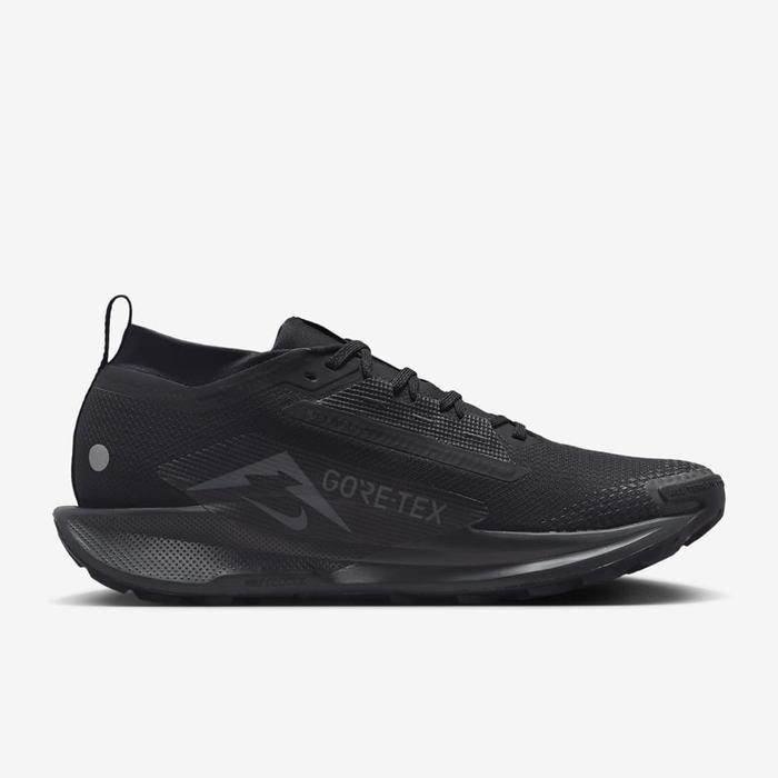 Pegasus Trail 5 GORE-TEX 2