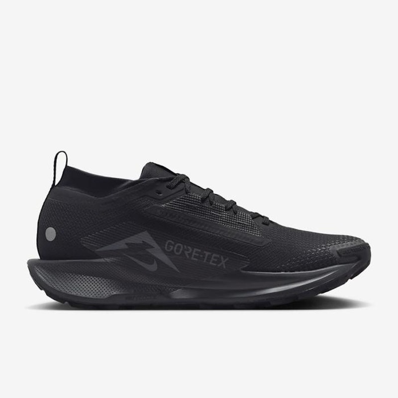 Pegasus Trail 5 GORE-TEX 2