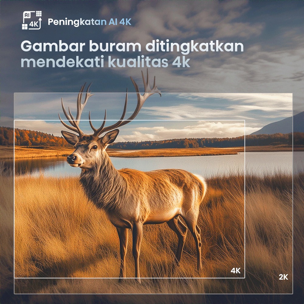 Hisense Hisense VIDAA 55" Inch 55E7Q