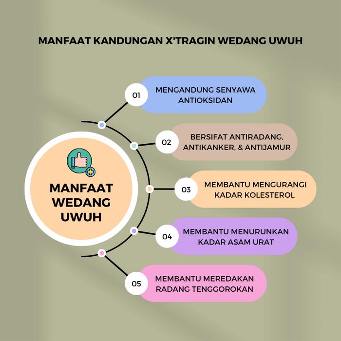X'tragin Wedang Uwuh