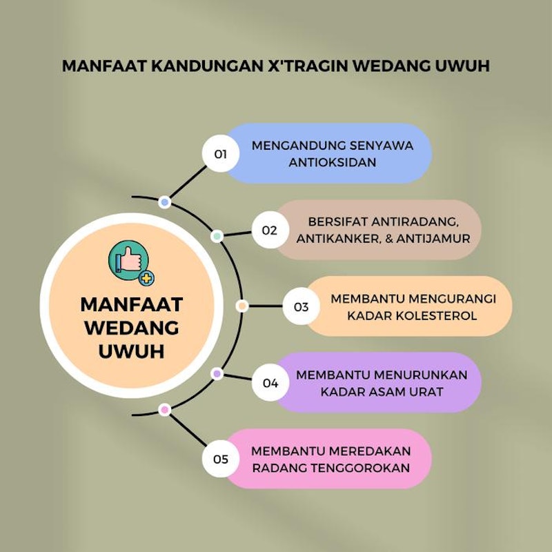 X'tragin Wedang Uwuh 2