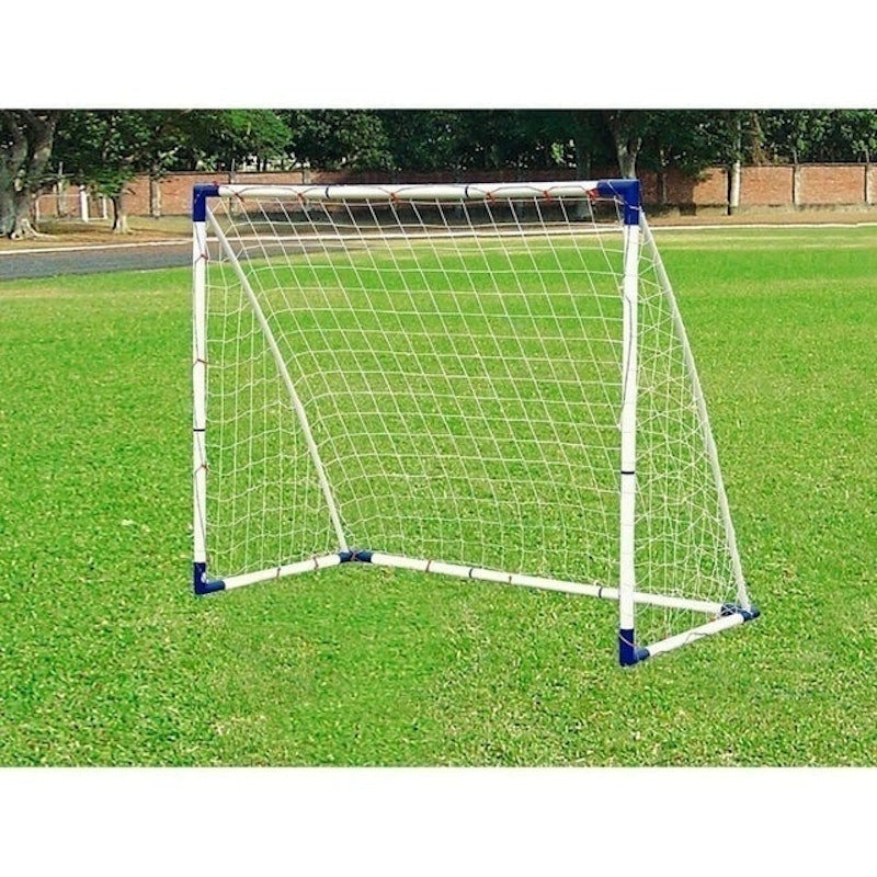 Pro Sport Goal 2
