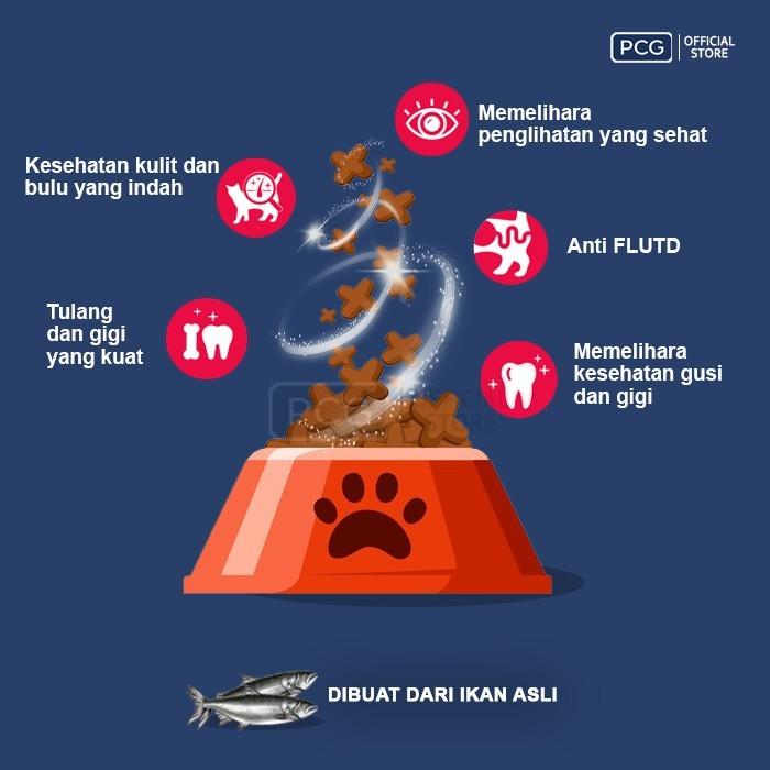 Cat Choize Plus Dry Cat Food Kitten Tuna & Salmon with Milk Flavor 1.1 Kg 2