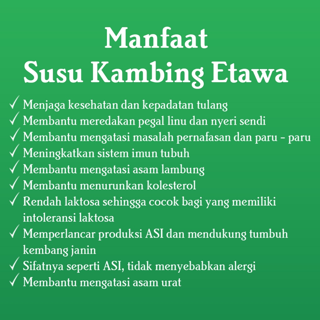 Anugrah Persada Alam AMH Kambing Etawa Rasa Susu Jahe