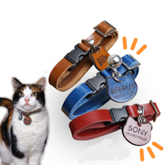 Kalung Kucing Kulit Asli Model Slop