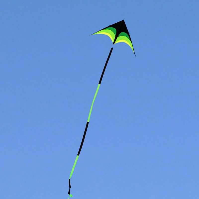 Sport Beach Fly Kite 3
