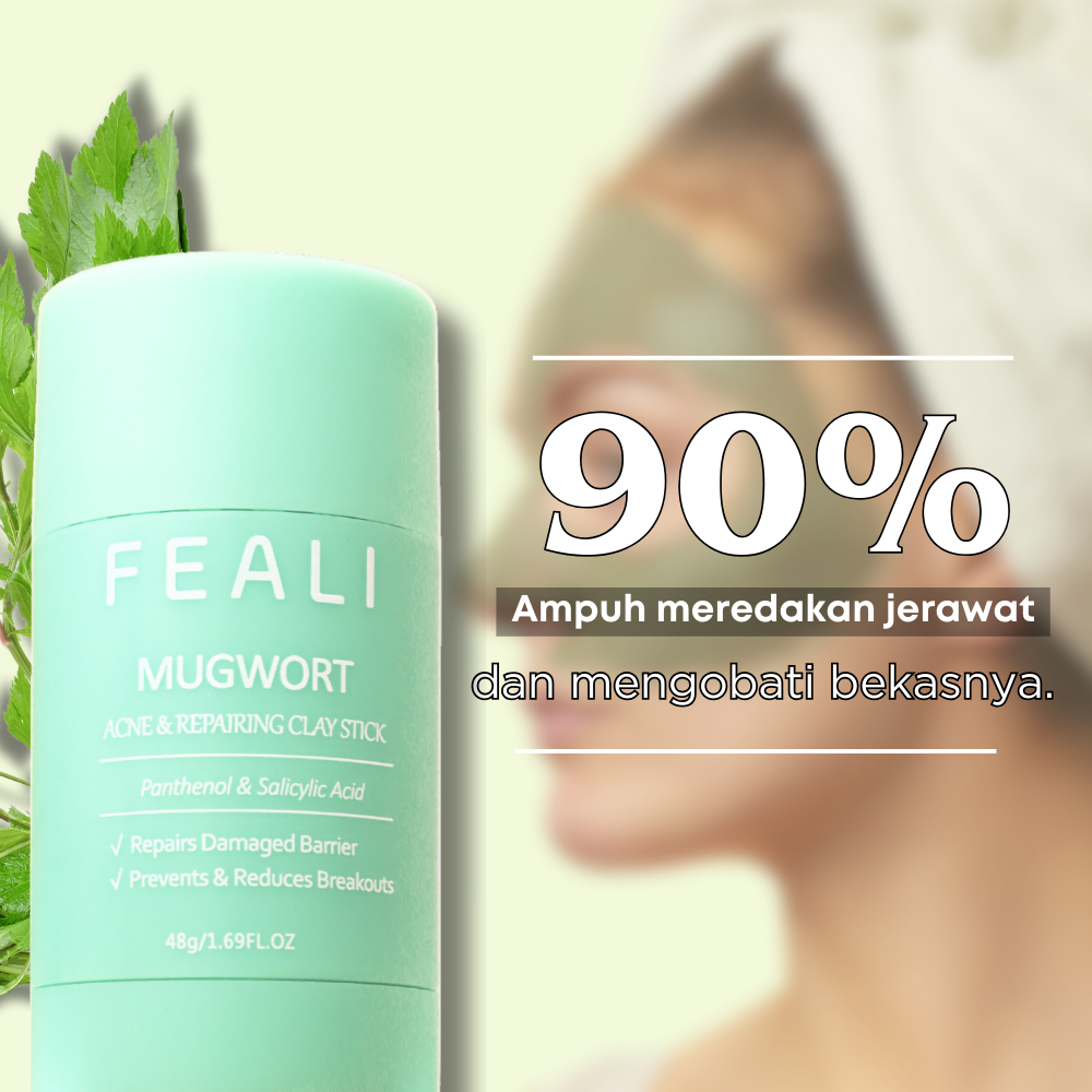  Feali Mugwort Acne and Repairing Clay Stick 