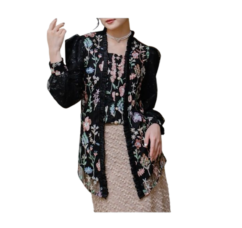 Abinaya Lady Blouse 2