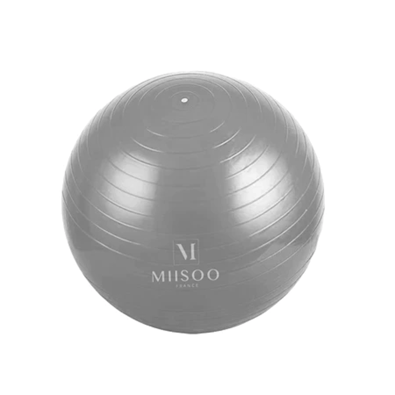 MIISOO Gym Ball 4