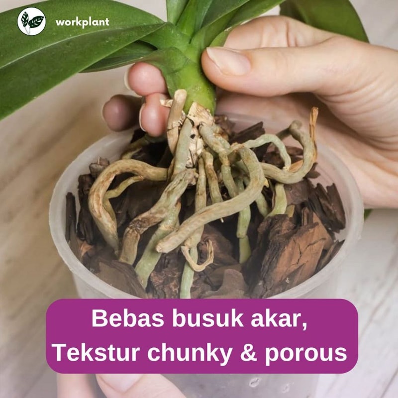 Workplant Orchid Soil Mix 4