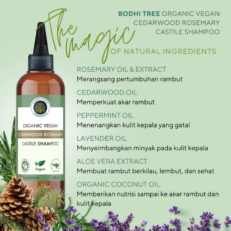 Bodhi Tree Organic Vegan Cedarwood Rosemary Castile Shampoo 2