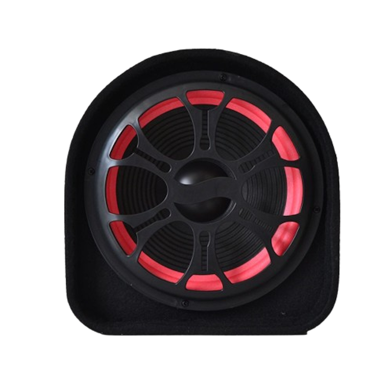 Advance 12 inch Bluetooth Speaker 3