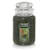 Yankee Candle Balsam & Cedar 1