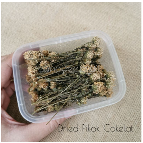 Mini Dried Flower 1