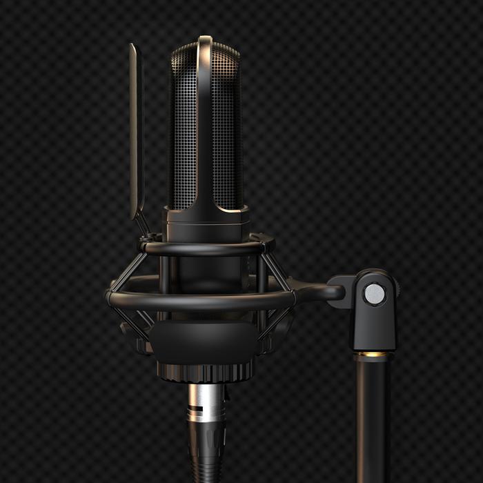 Fifine XLR Condenser Microphone 2