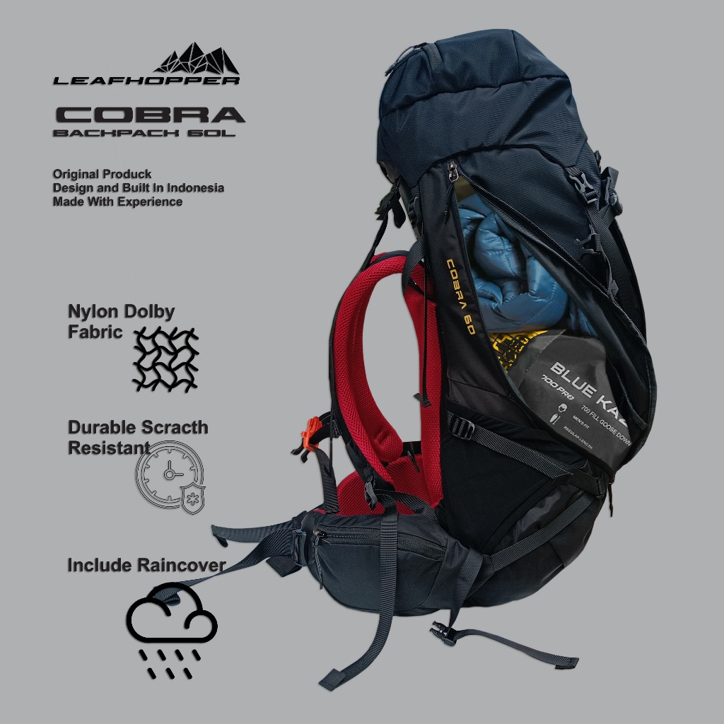 LeafHopper Outdoor Gear Leafhopper Cobra Backpack 60L