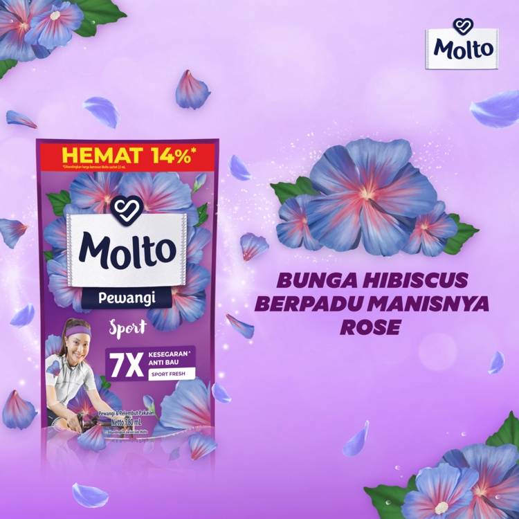 Molto Pewangi Purple 3