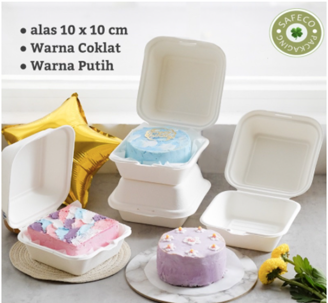 Bagasse Box 2