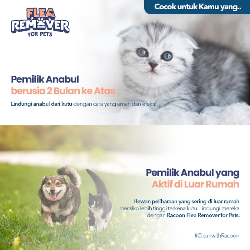 Racoon Flea Remover for Pets Natural Base 4