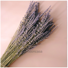 Bunga Kering Rustic Vintage Preserved Lavender