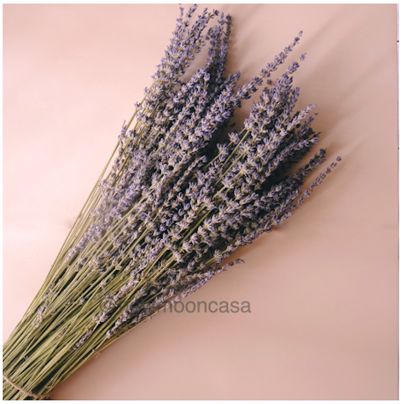 Bunga Kering Rustic Vintage Preserved Lavender 1