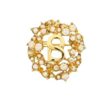 Buttonscarves Round Pin Brooch