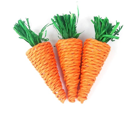 Color Carrot - Mainan Kelinci