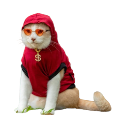 Baju Kucing Hoodie