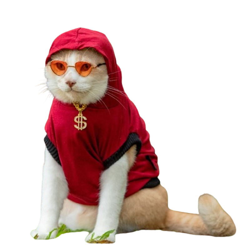 Baju Kucing Hoodie 1