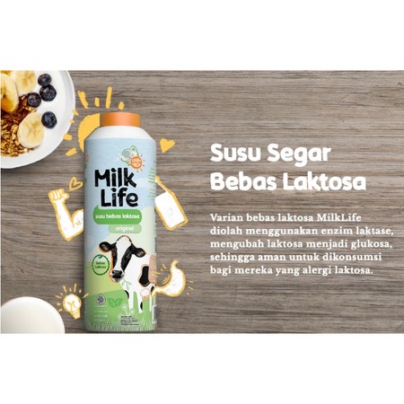 MilkLife Susu Bebas Laktosa Original