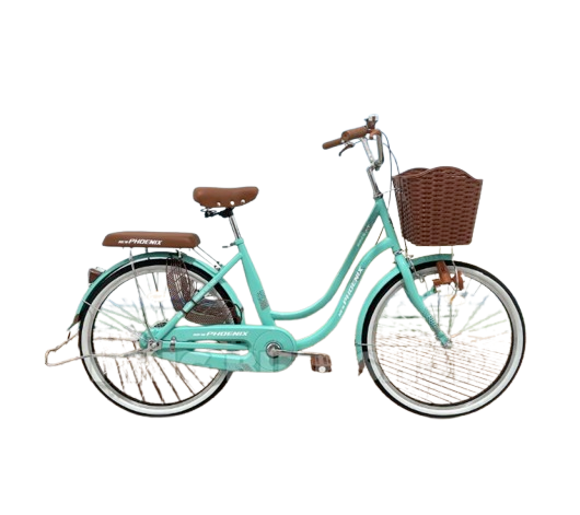 New Phoenix Sepeda Keranjang ｜ CTB NP-8825 AT