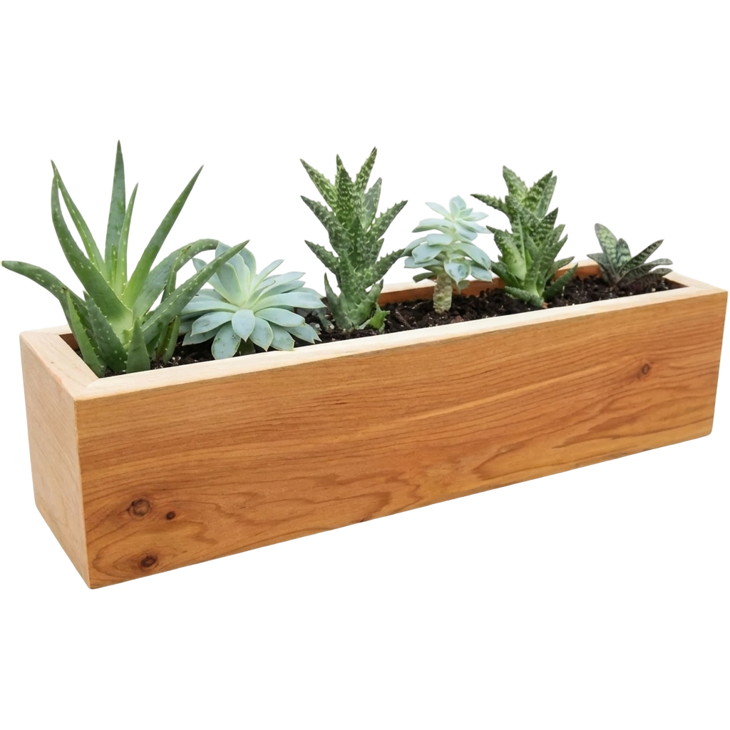 Wooden Box Planter 30×10 cm 1