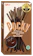 Glico Pocky Double Chocolate 1