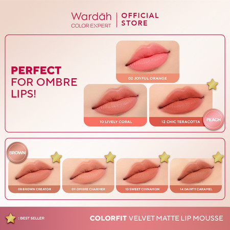 Paragon Technology and Innovation Wardah Colorfit Velvet Matte Lip Mousse 08 Brown Creator