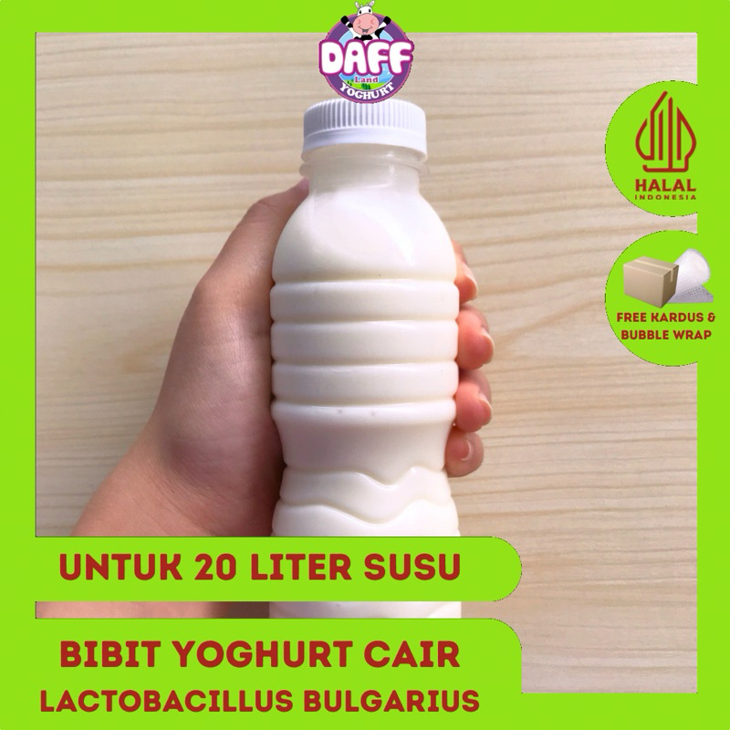 Daff Yoghurt Bibit Yogurt Cair 