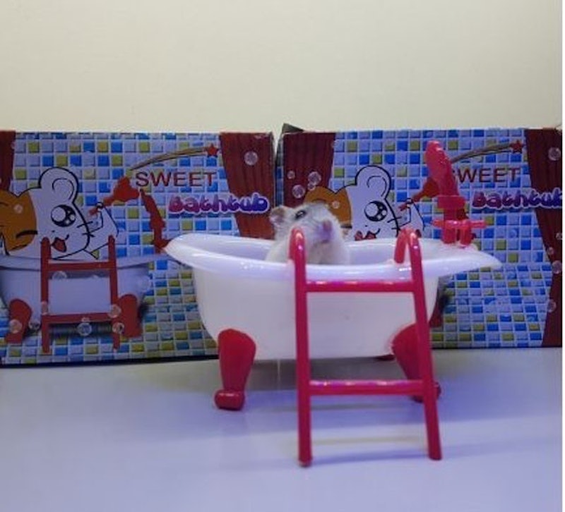 Bathtub 1